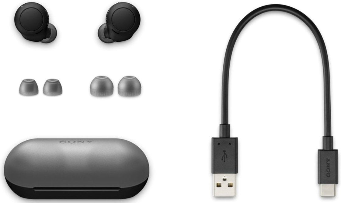 Sony - WF-C500 In-Ear Sound Isolating True Wireless Earbuds - Black