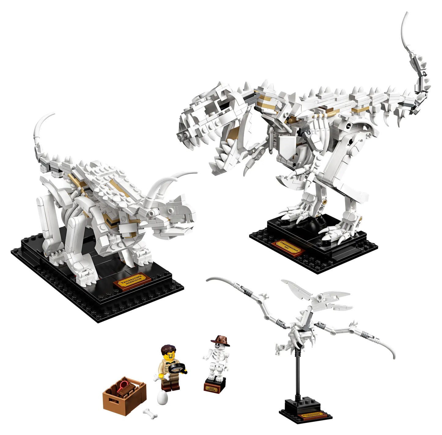 LEGO Ideas - Dinosaur Fossils - 21320 (RETIRED)