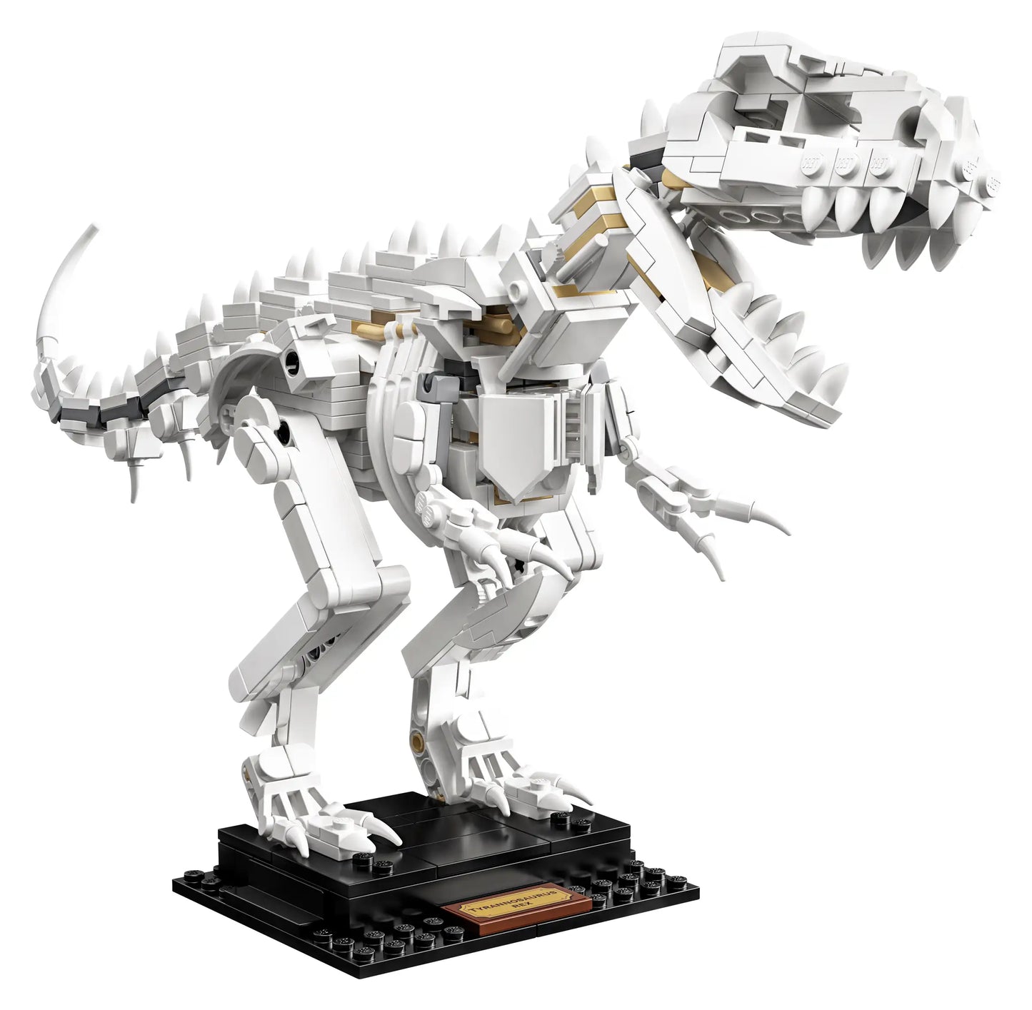 LEGO Ideas - Dinosaur Fossils - 21320 (RETIRED)