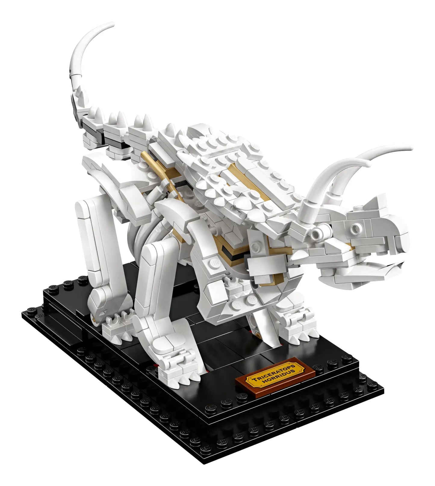 LEGO Ideas - Dinosaur Fossils - 21320 (RETIRED)