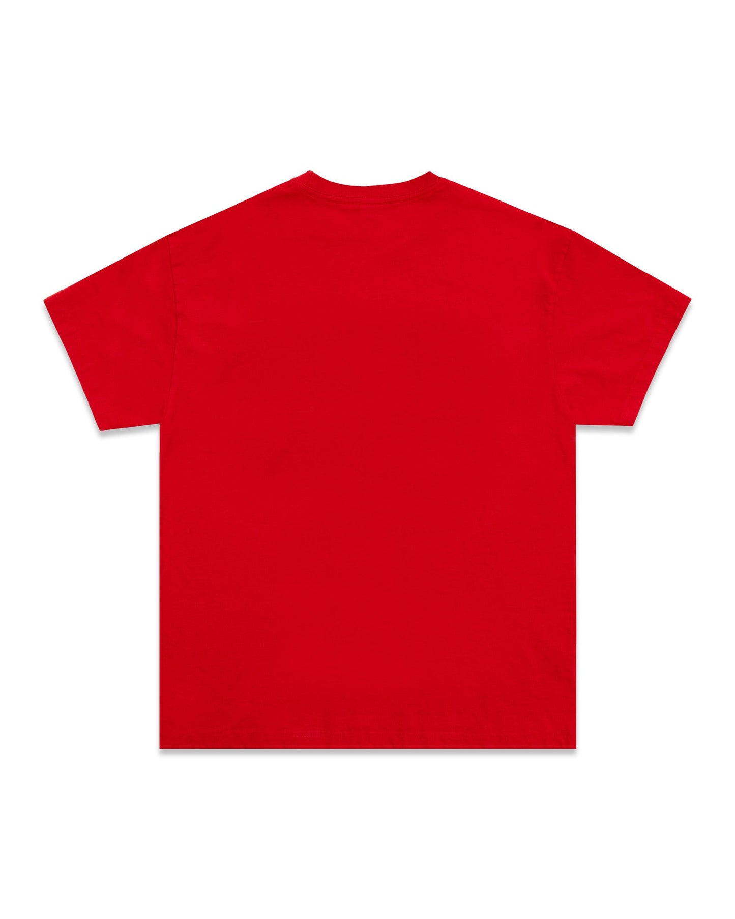 Hidden NY Collegiate Tee