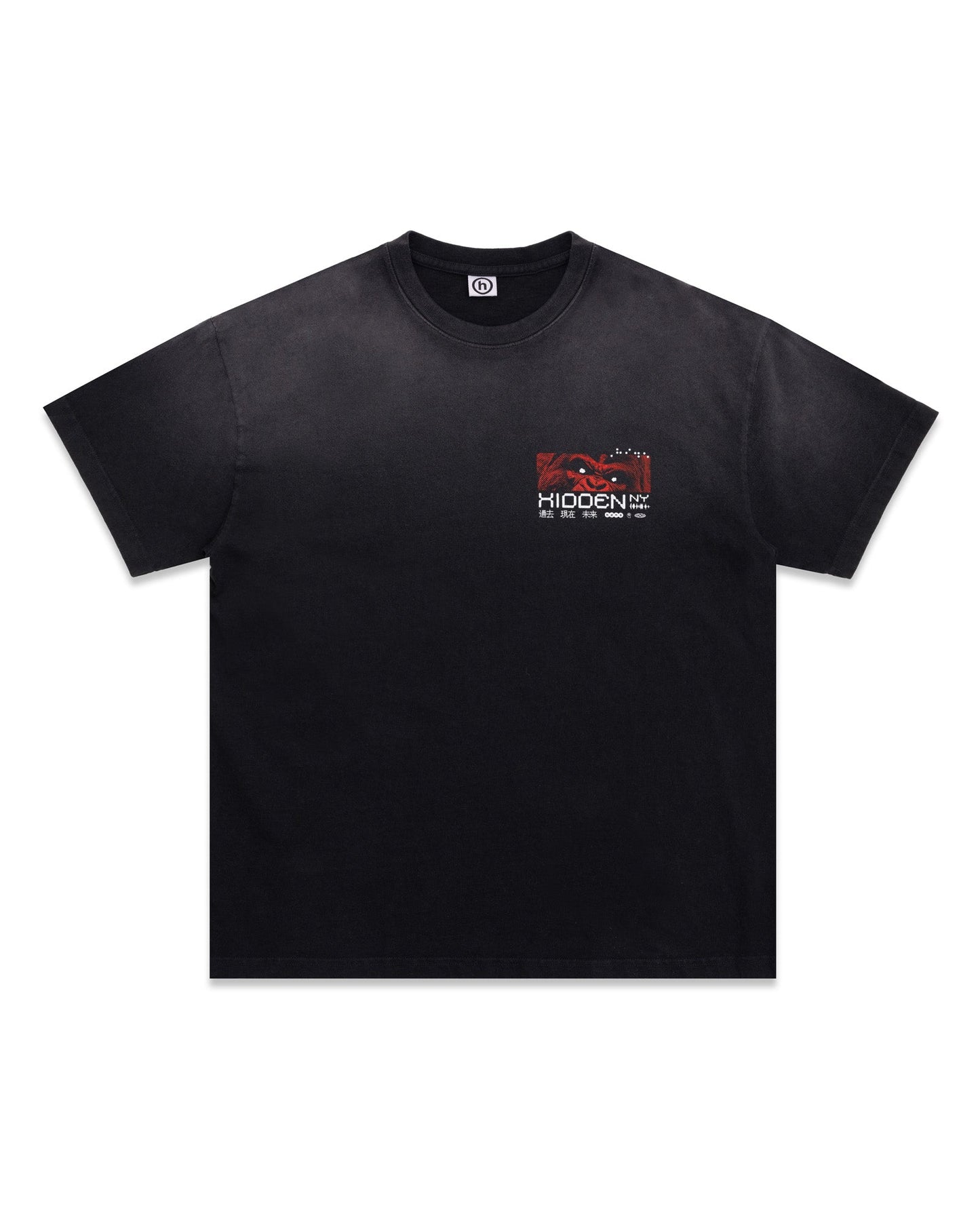 Hidden NY Bully Tee Washed Black
