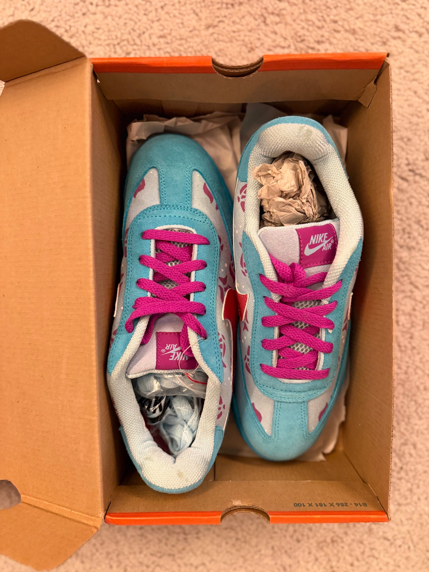 2004 - Laurie's Nike FC SB x Doernbecher "Fishy" - 309185-461