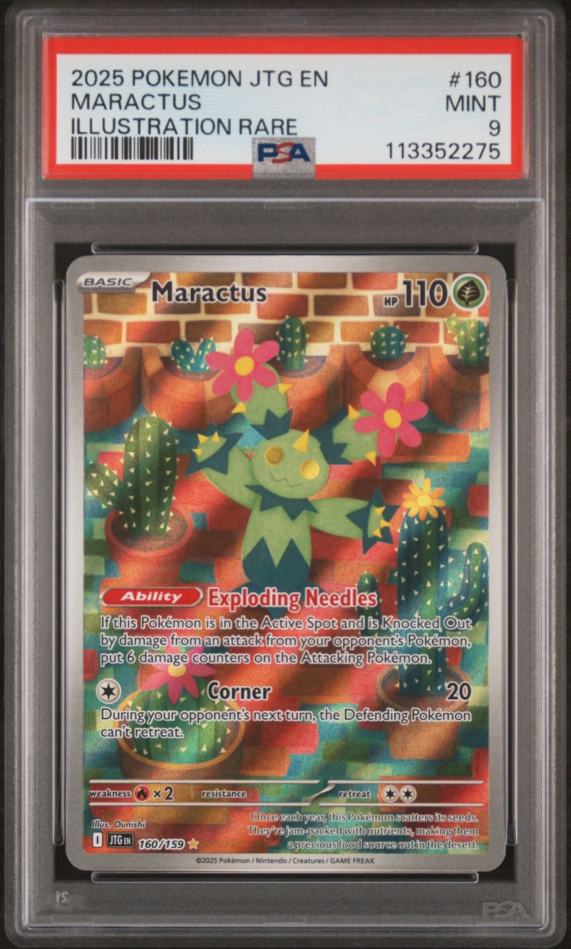 2025 Pokemon JTG En Journey Together 160 Maractus Illustration Rare PSA Graded Card 2025 Pokemon JTG En Journey Together 160 Maractus Illustration Rare PSA Graded Card