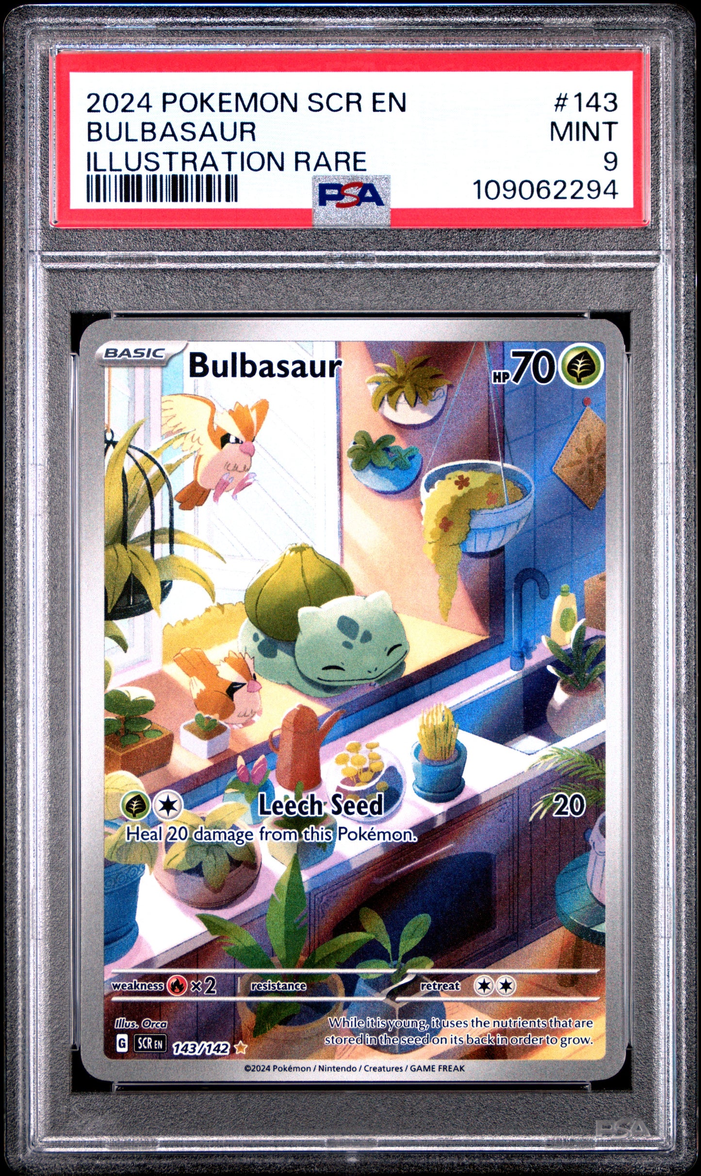 2024 Pokemon SCR-EN - #143 Bulbasaur  - Illustration Rare Stellar Crown - PSA Graded Card