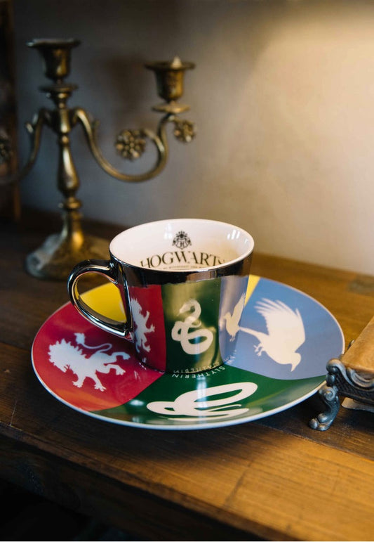 Harry Potter Sorted Collectors - Plate & Mirror Mug Set