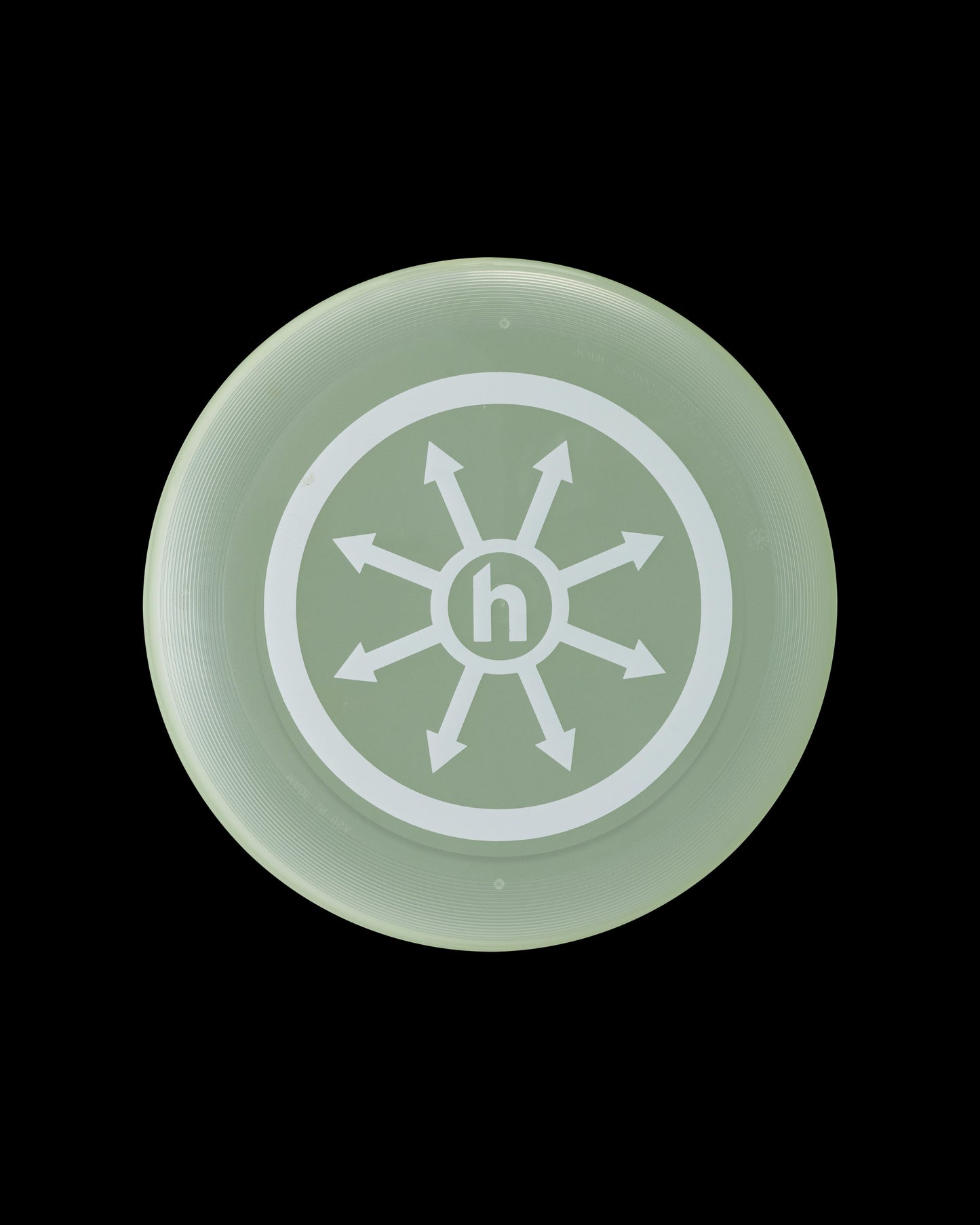 Hidden NY Clear Frisbee