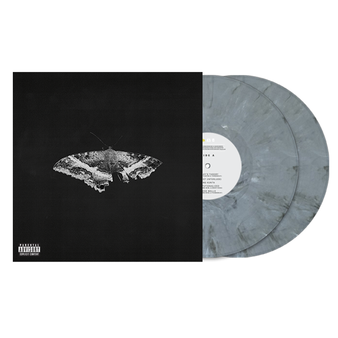 Kendrick Lamar - To Pimp A Butterfly (10 Year Anniversary Edition) - 2LP Graphite Vinyl