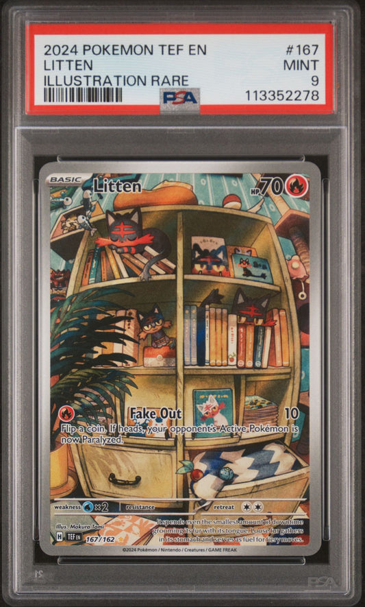 2024 Pokemon TEF En — Temporal Forces — 167 Litten Illustration Rare — PSA Graded Card