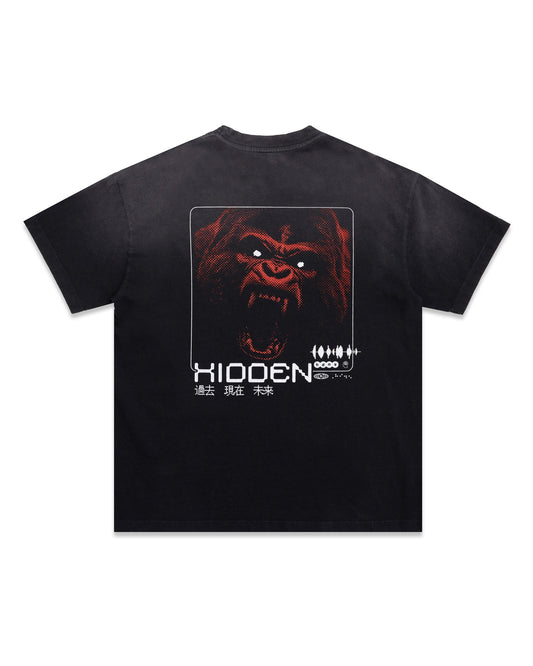 Hidden NY Bully Tee Washed Black