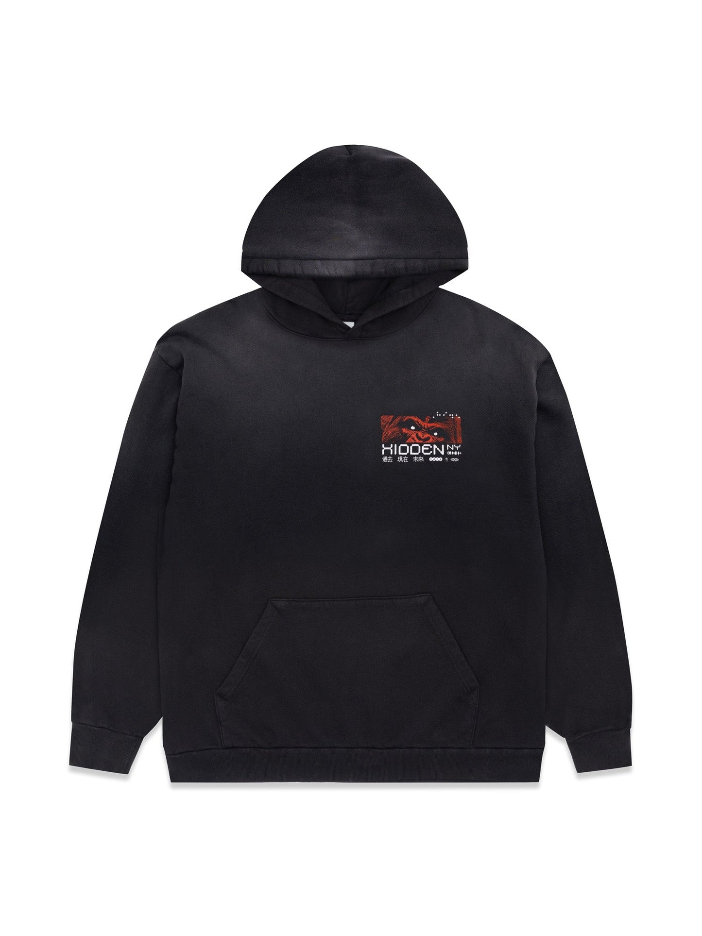 Hidden NY Bully Hoodie Washed Black