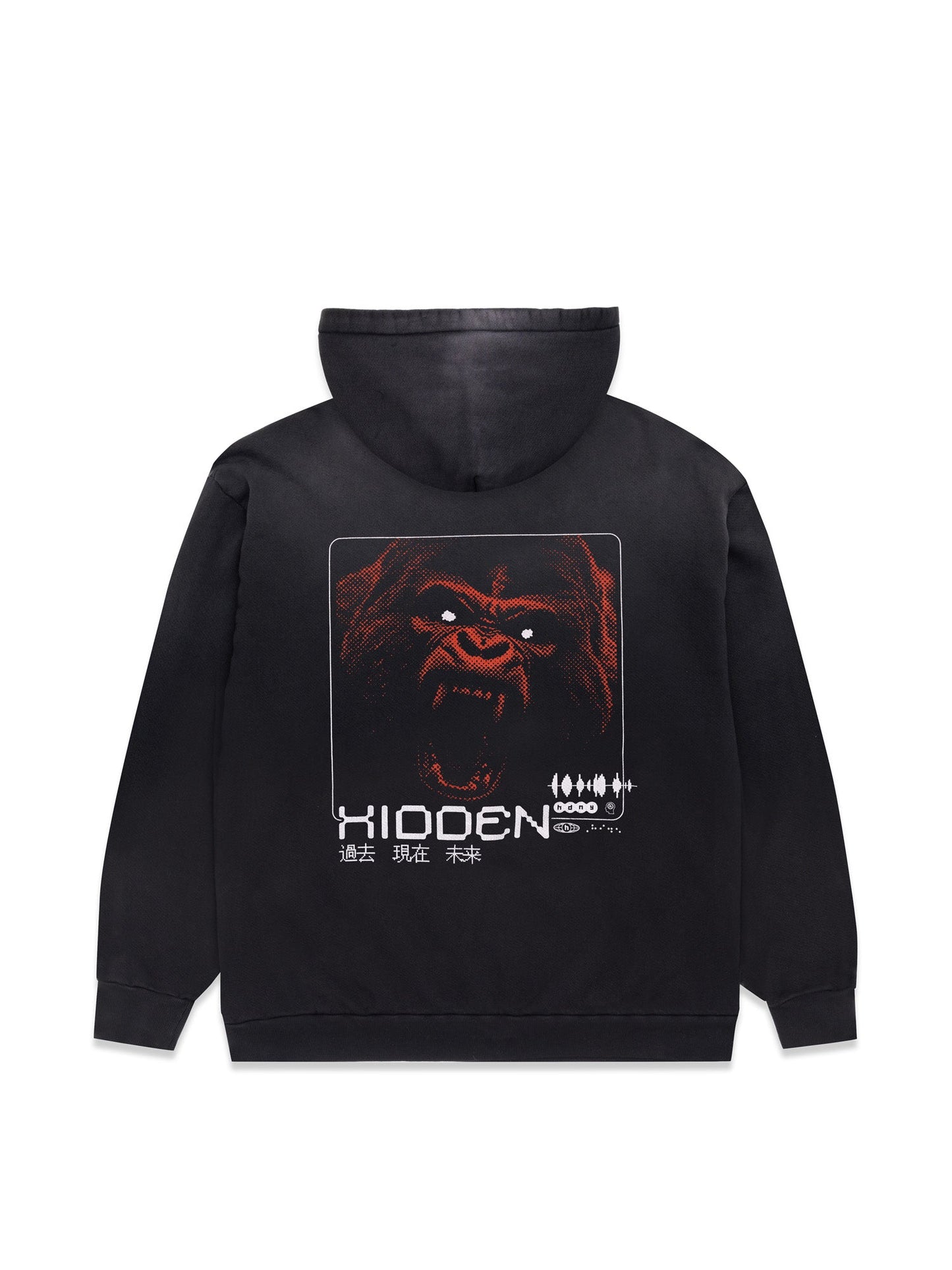 Hidden NY Bully Hoodie Washed Black