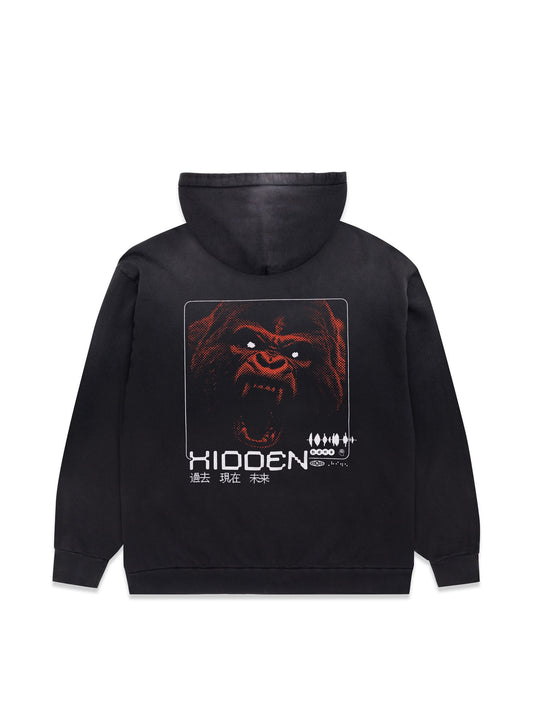 Hidden NY Bully Hoodie Washed Black