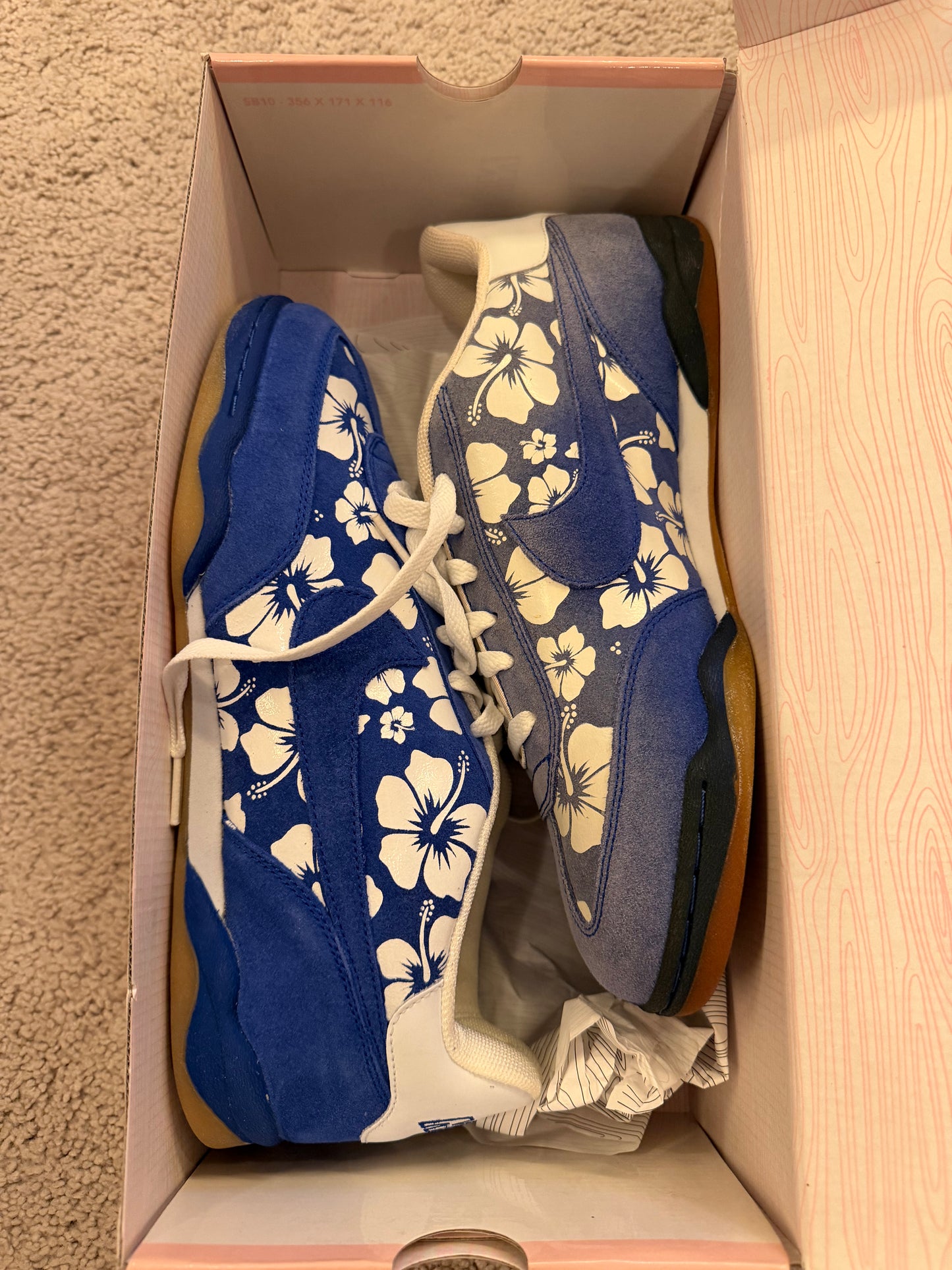 2004 - Leah's Nike FC SB x Doernebcher Air Zoom - 308173-441