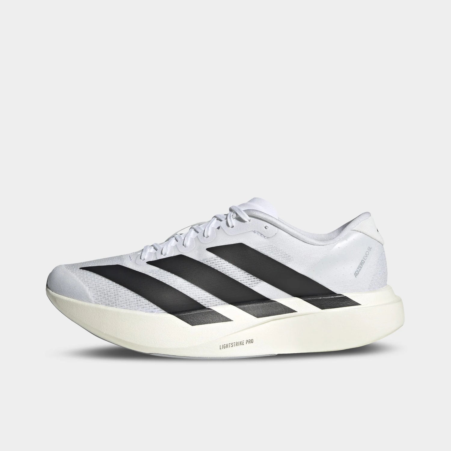 Size 11.5