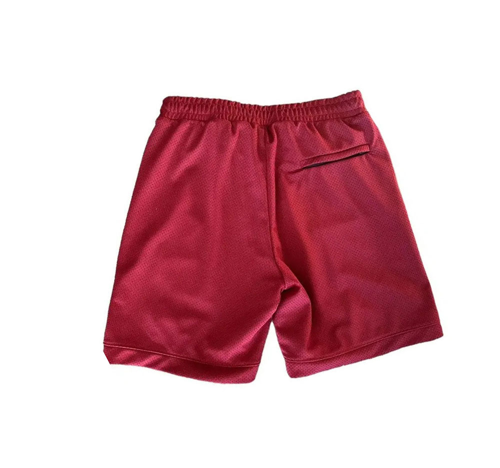 Hidden NY Logo Mesh Shorts Red