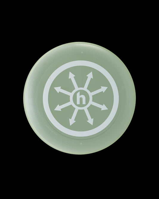 Hidden NY Clear Frisbee